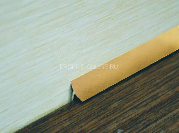 Внутренний угол для плитки алюминиевый закладной 10 мм РВ10 Золото КЕ 2,7 м (упаковка 10 штук)