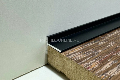 Микроплинтус скрытого монтажа из алюминия 17.8х19.8 мм Евротрим 7628.05 черный 200 см