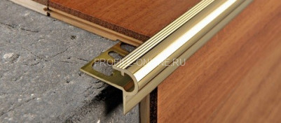 Латунный F-профиль 10 мм Progress Profiles PSYOL 10 полированный 2,7 м