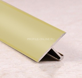 Т-образный профиль алюминиевый 18 мм ПТ-18 бронза матовая 2,7 м