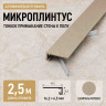 Микроплинтус напольный алюминиевый 16х6,5х2500 мм шампань матовое