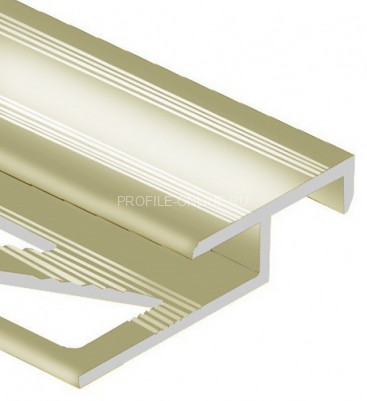 Алюминиевый Т-образный профиль закладной лестничный 20х12 мм PV58-09 шампань блестящая 2,7 м